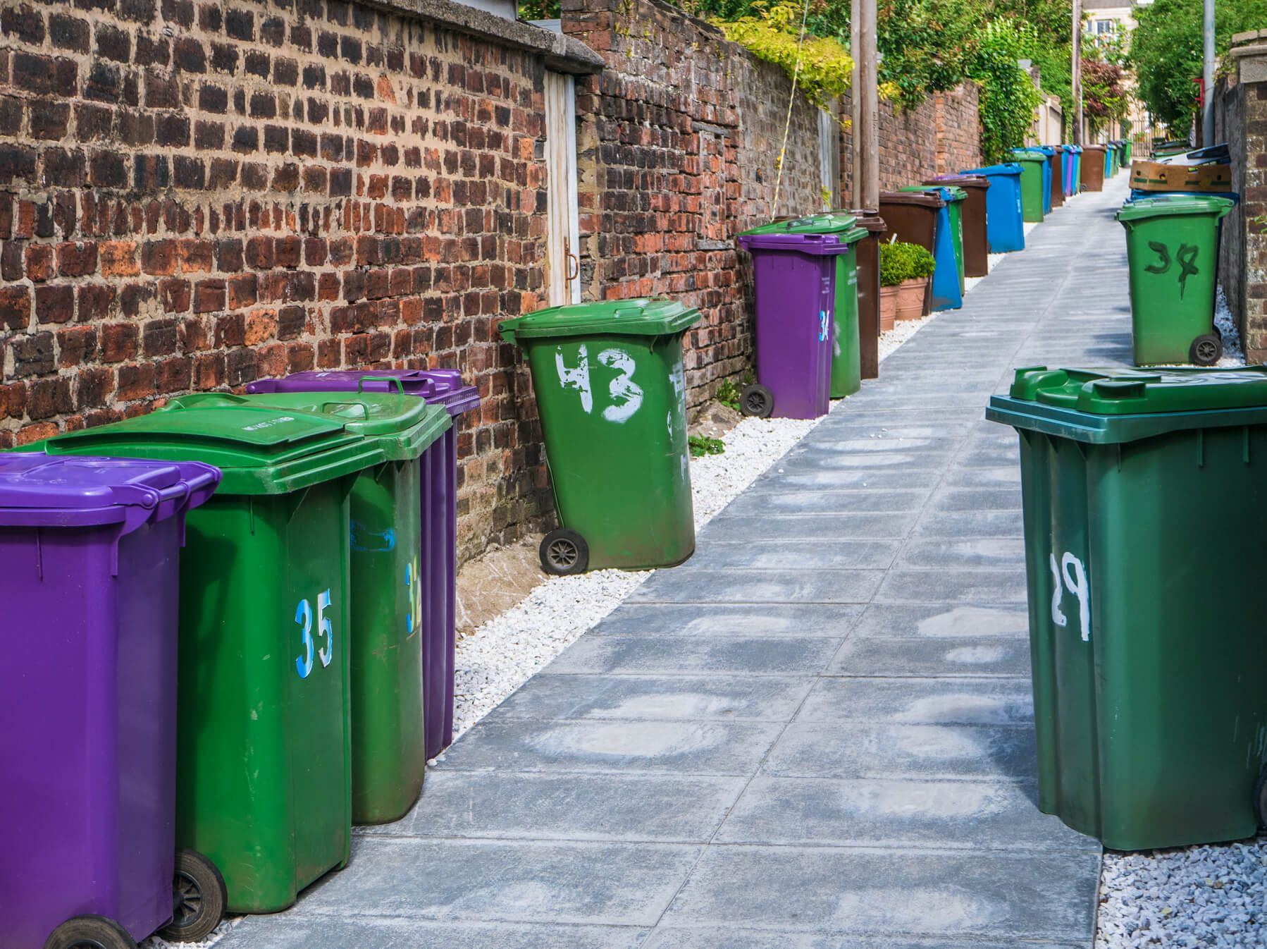 Green and purple bins street