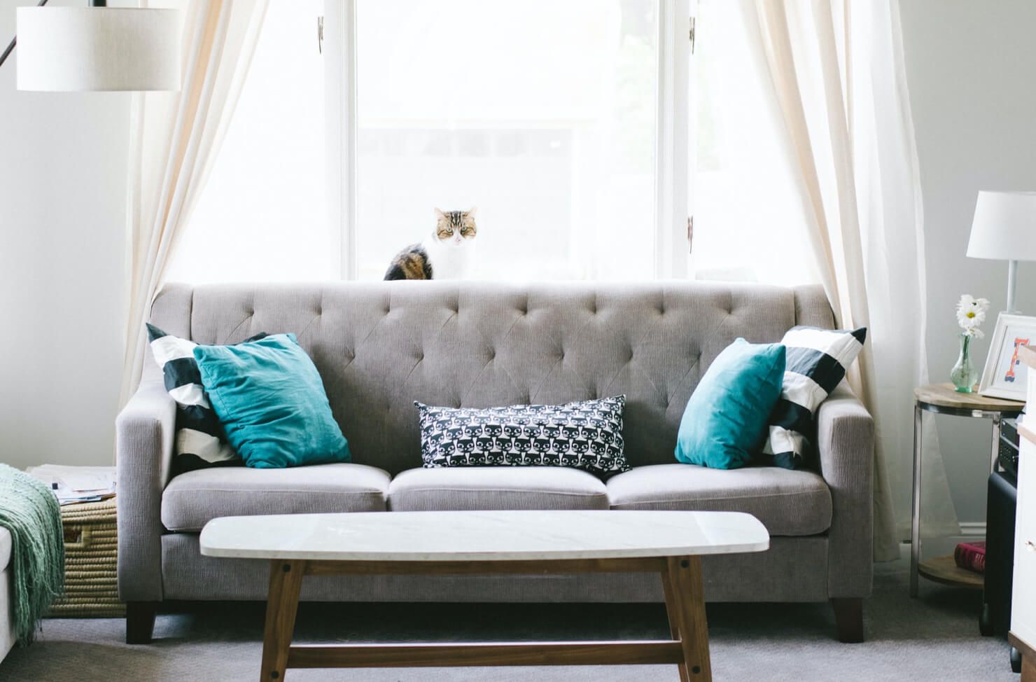old sofa removal by charities