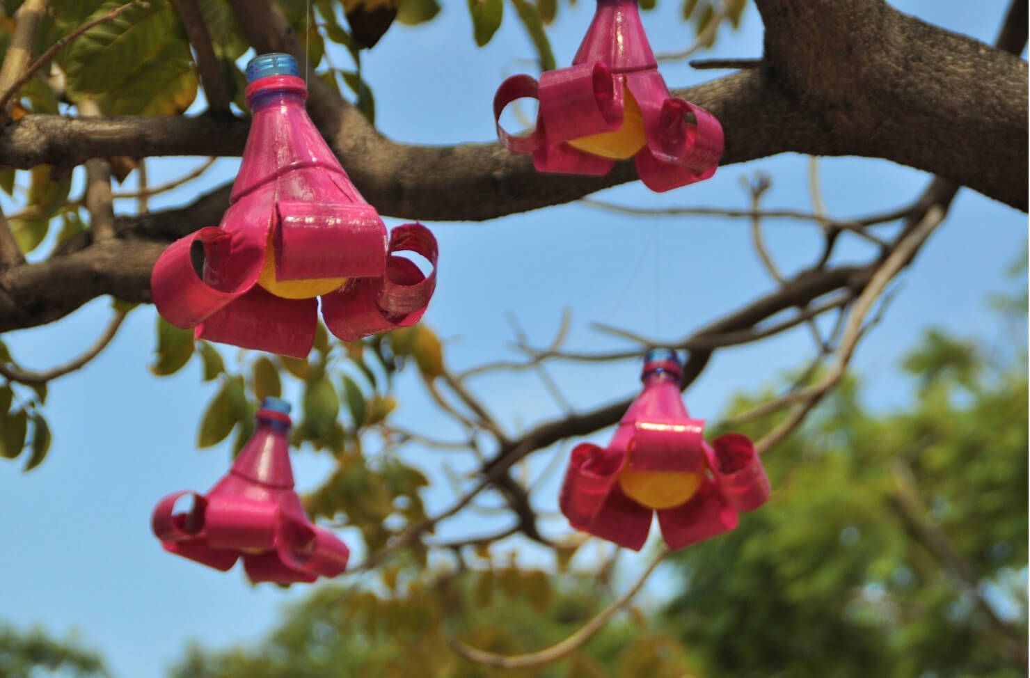 ornaments on a garden tree