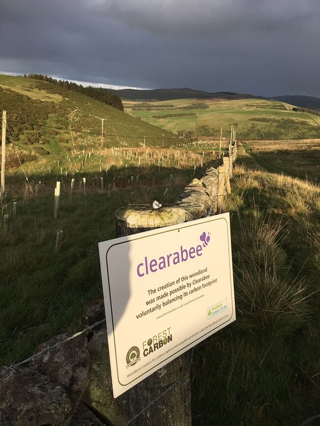 Clearabee forest overlooking hills