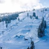 Boreal