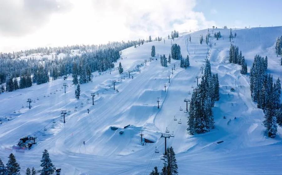 Boreal