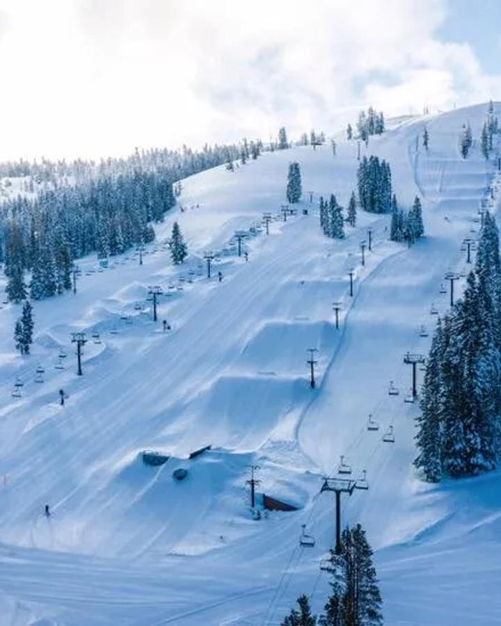Boreal