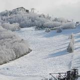 Shiga Kogen