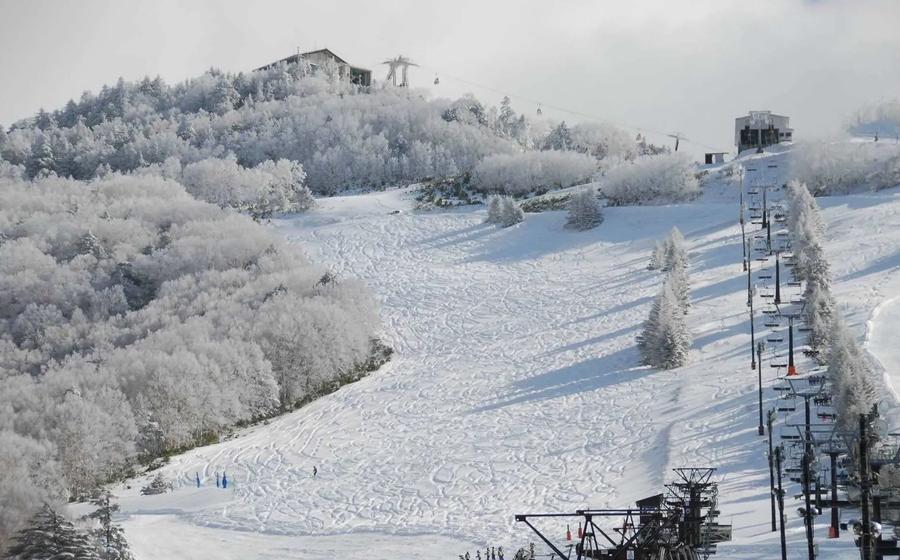 Shiga Kogen