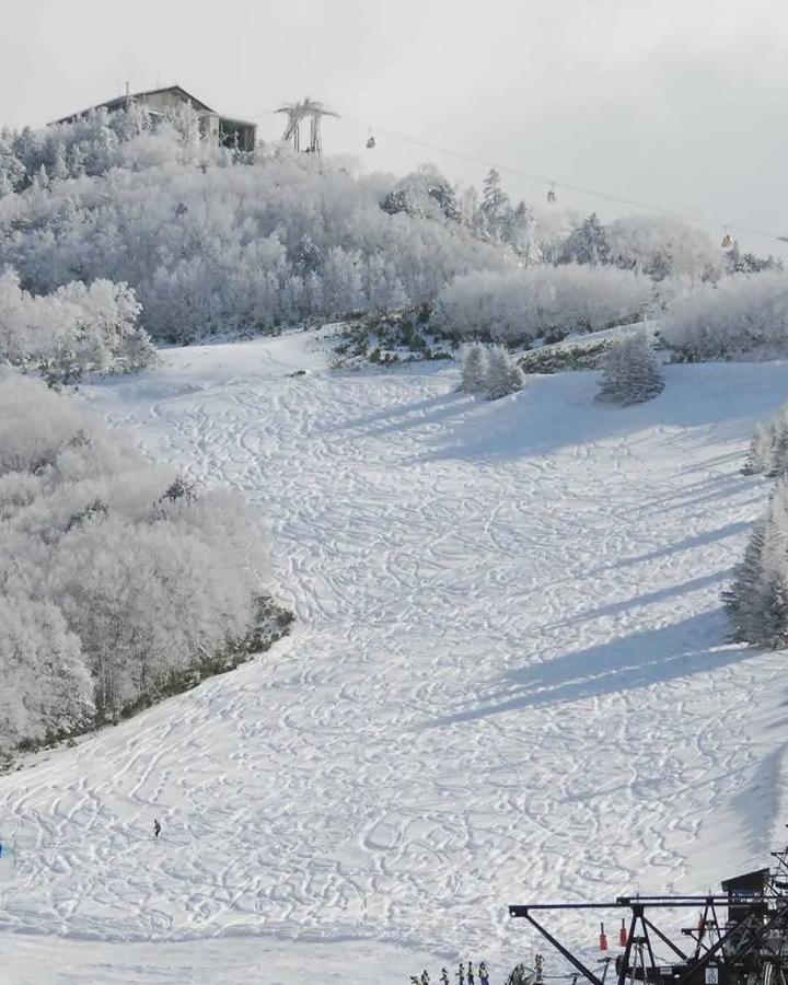 Shiga Kogen