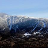 Saddleback