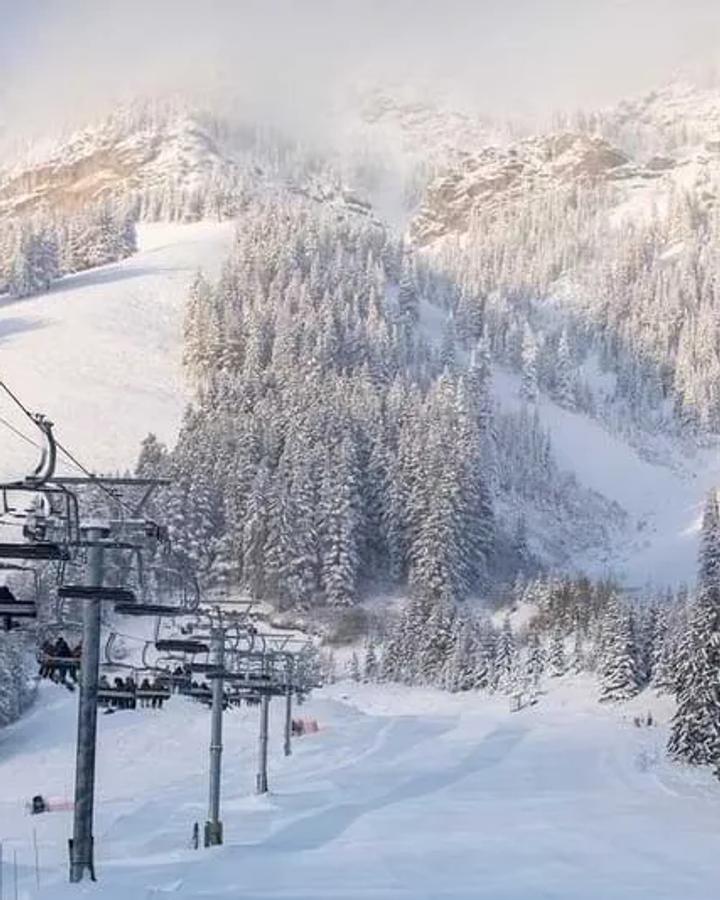 Mt Norquay