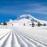 Timberline Lodge