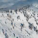 Powder Mountain