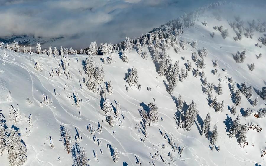 Powder Mountain
