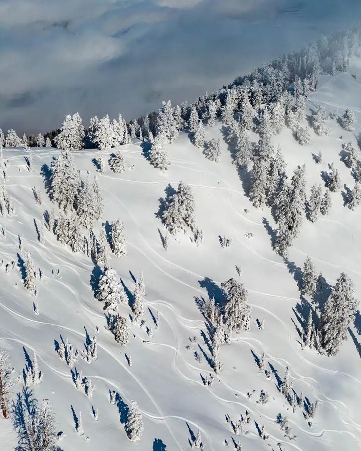 Powder Mountain