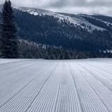Pine Creek