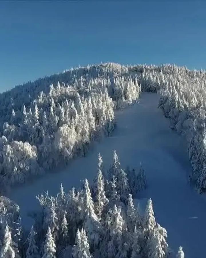 Mont Sutton