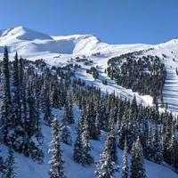 Marmot Basin