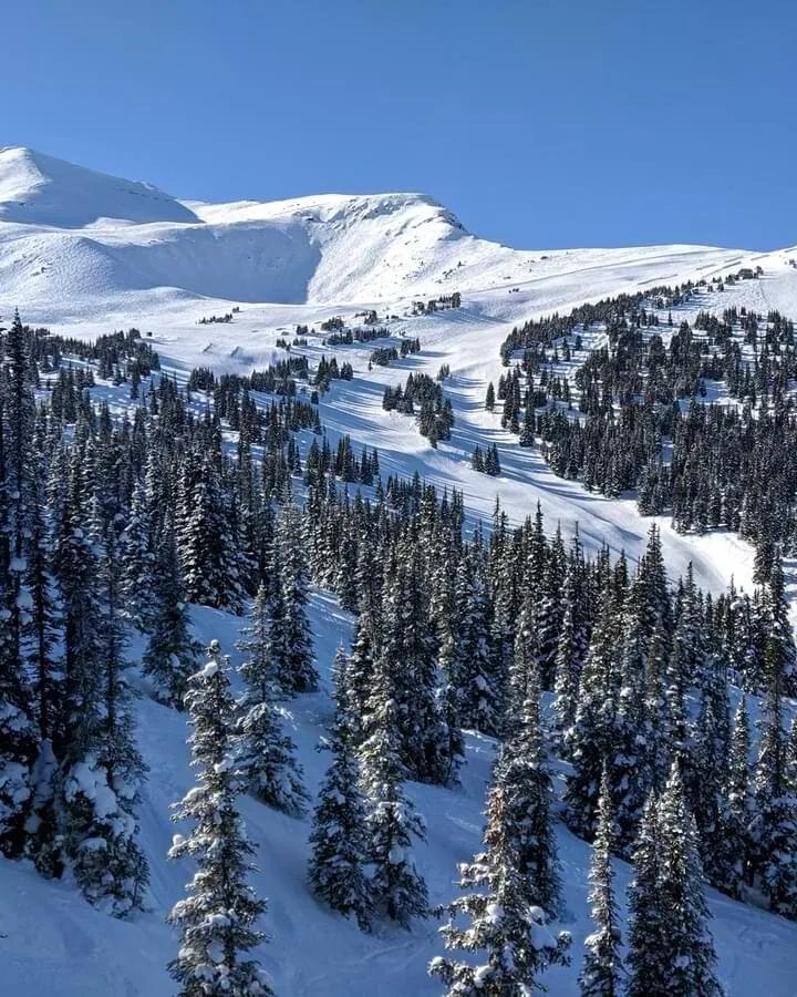 Marmot Basin