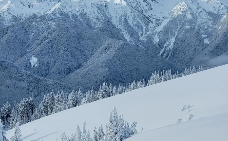 Hurricane Ridge