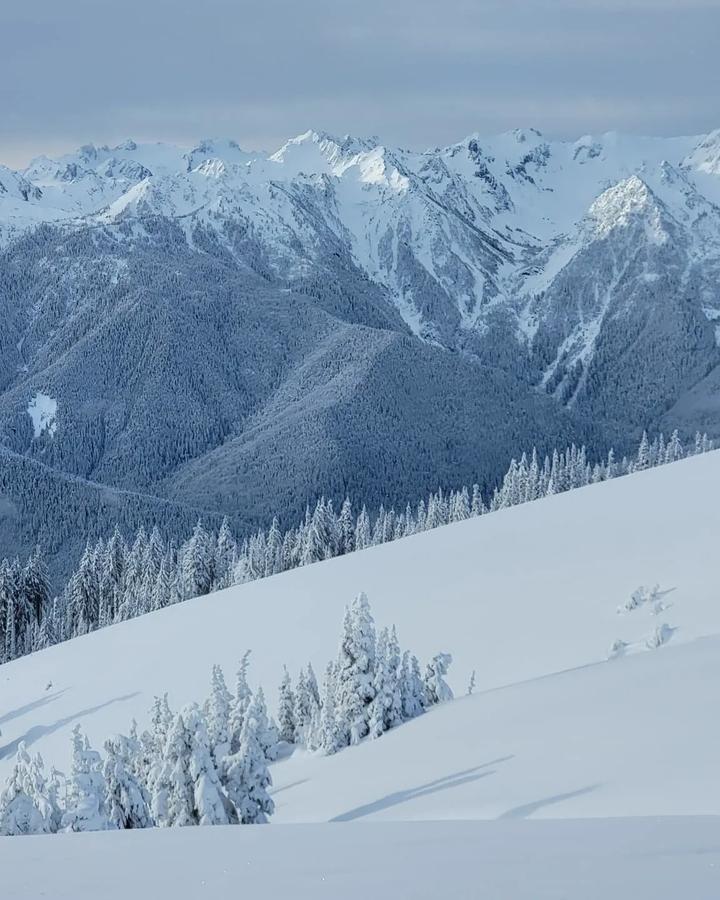 Hurricane Ridge