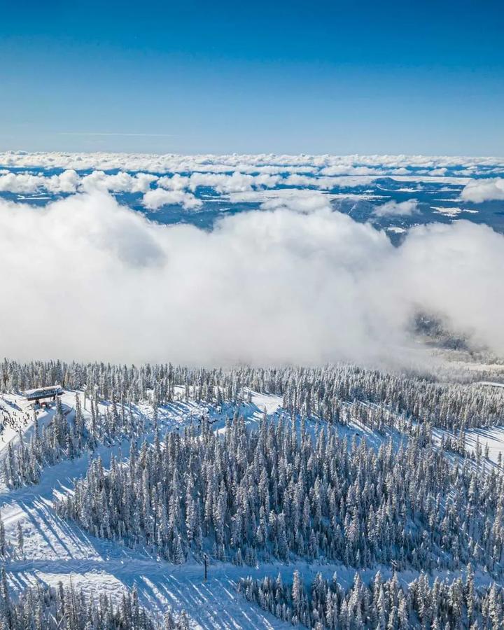 Arizona Snowbowl