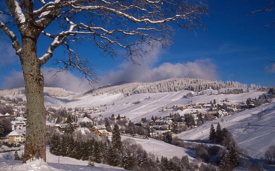 Todtnauberg