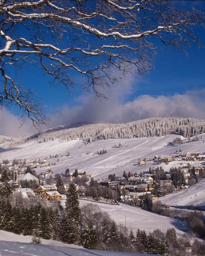 Todtnauberg
