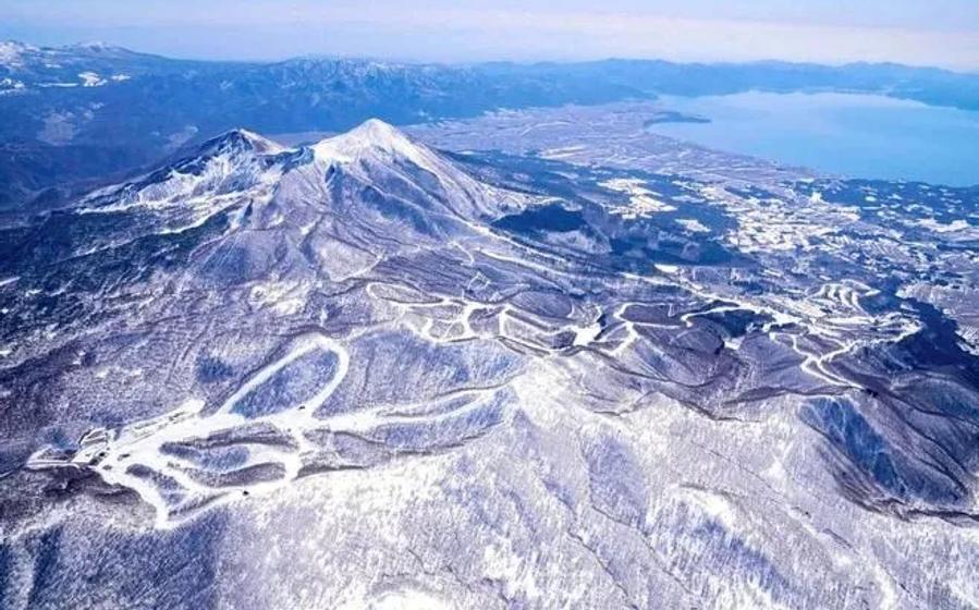 Nekoma
