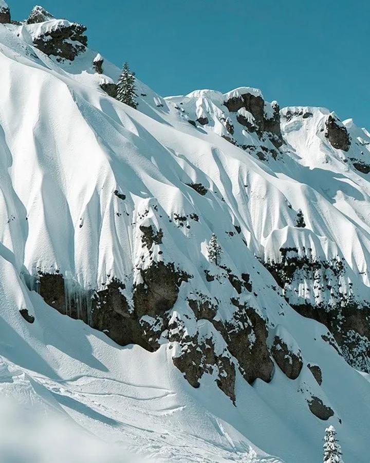 Sugar Bowl