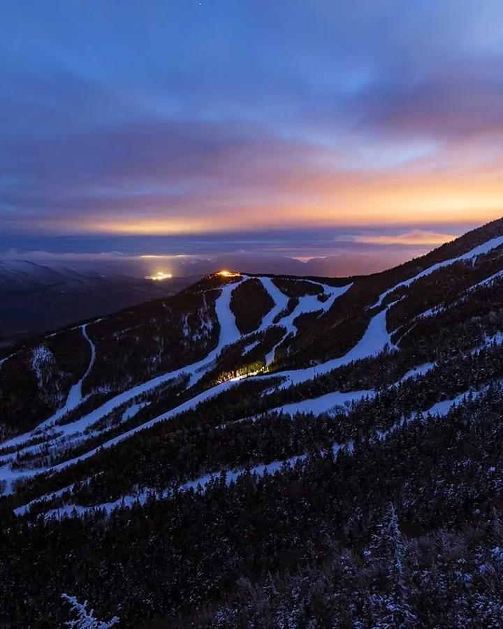 Whiteface