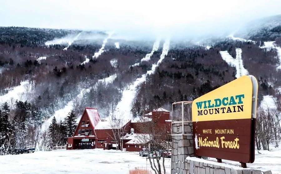 Wildcat Mountain