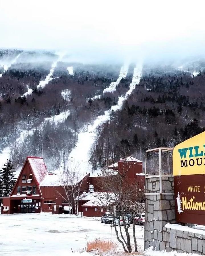 Wildcat Mountain