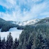 Mt Hood Skibowl