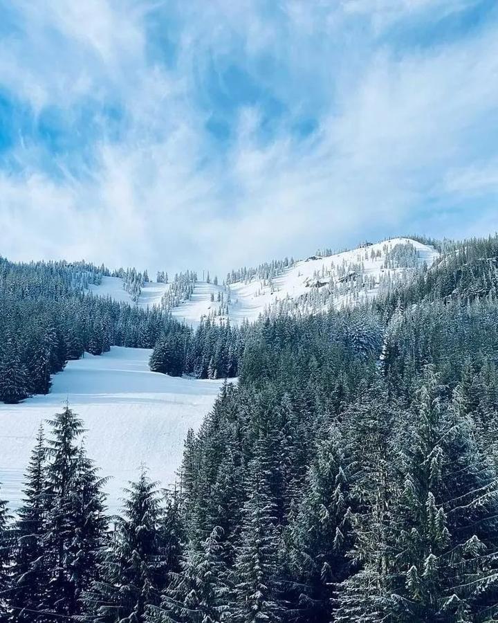 Mt Hood Skibowl