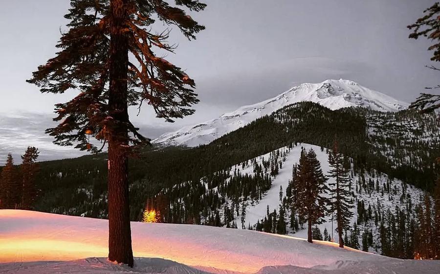 Mt Shasta Ski Park