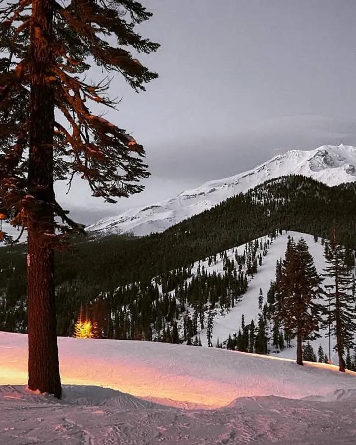 Mt Shasta Ski Park