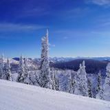 Whitefish Mountain