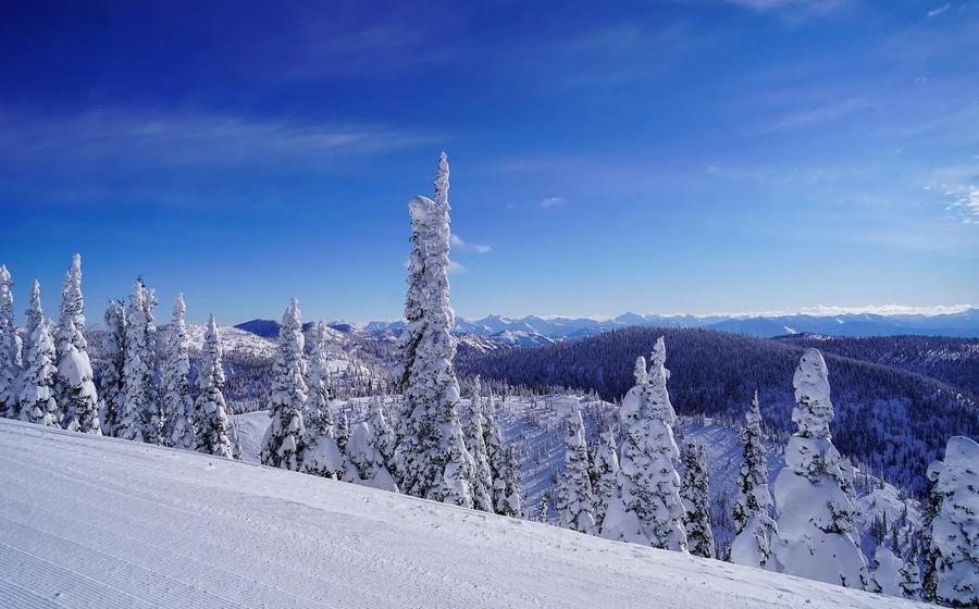 Whitefish Mountain