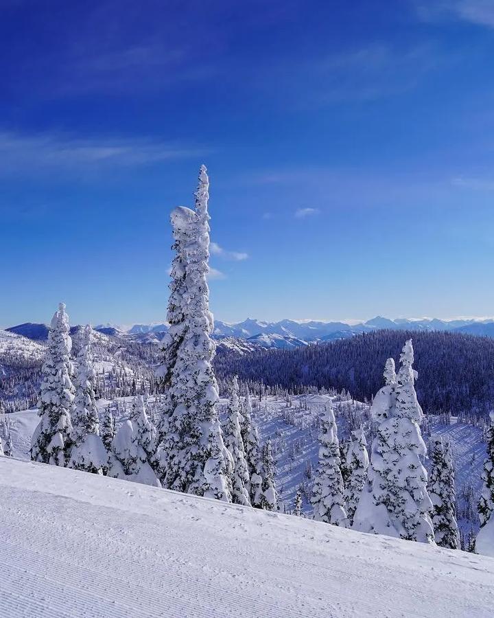 Whitefish Mountain