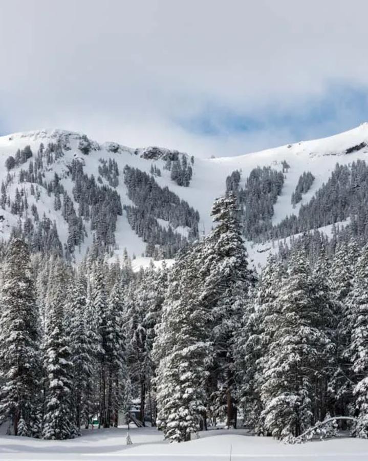 Kirkwood