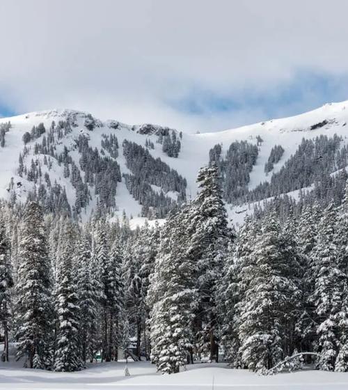 Kirkwood