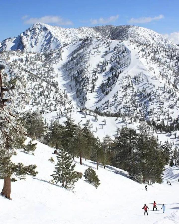 Mt Baldy