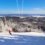 Gunstock