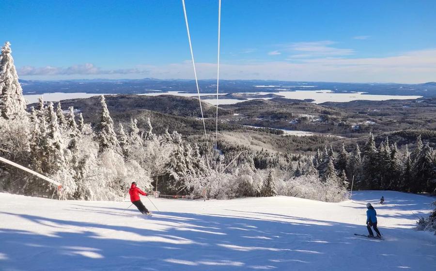Gunstock