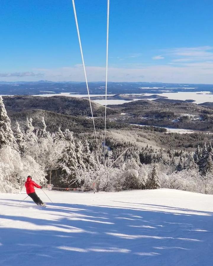 Gunstock