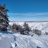 Kelly Canyon