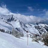 Snowbird