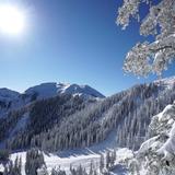 Taos