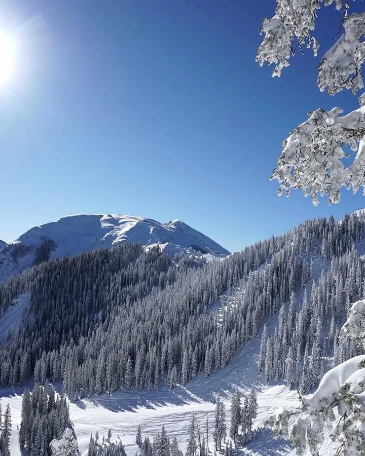 Taos