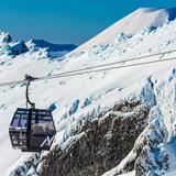 Whakapapa