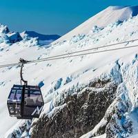 Whakapapa