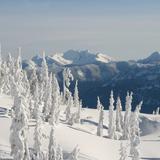 Sasquatch Mountain